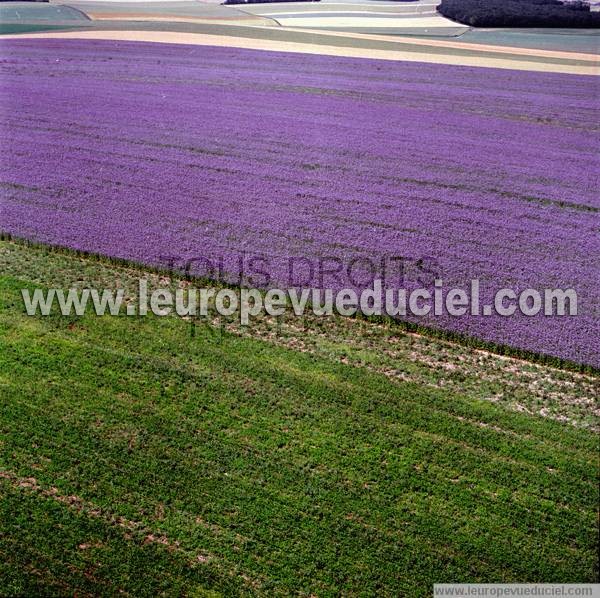 Photo aérienne de Indtermine (Yonne)