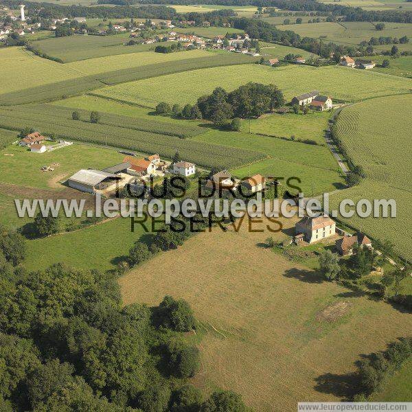 Photo aérienne de Vignes