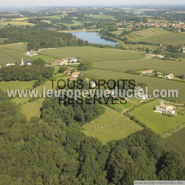 Photo aérienne de Vignes