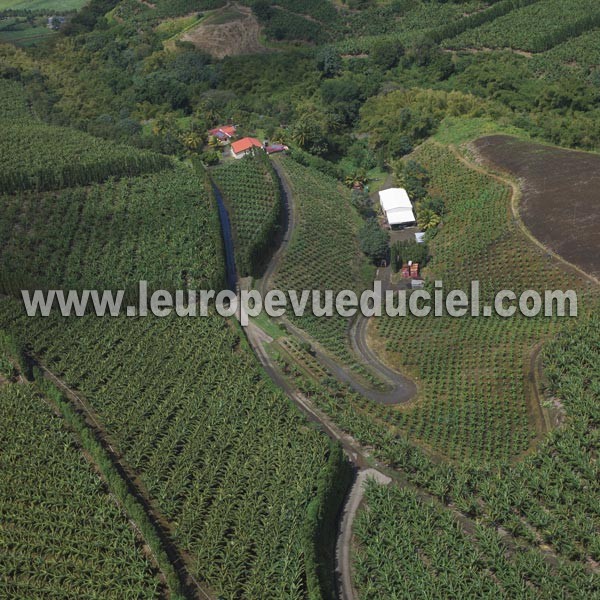 Photo aérienne de Le Morne-Rouge