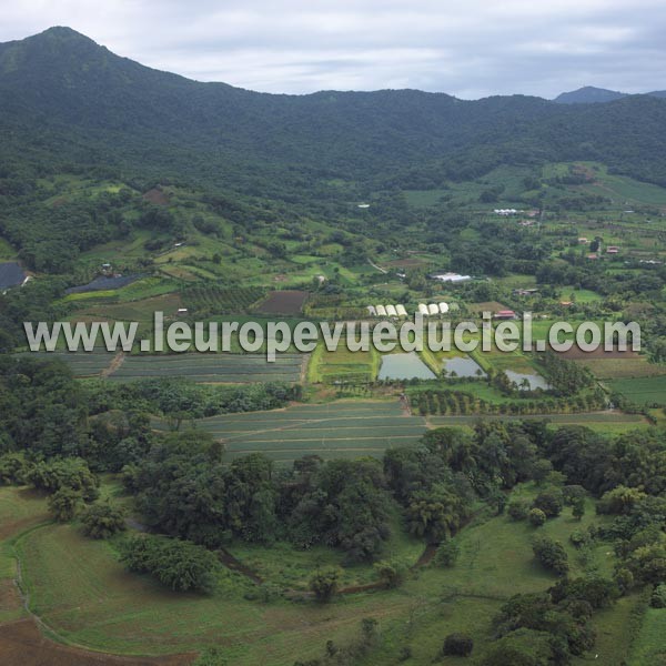 Photo aérienne de Le Morne-Rouge