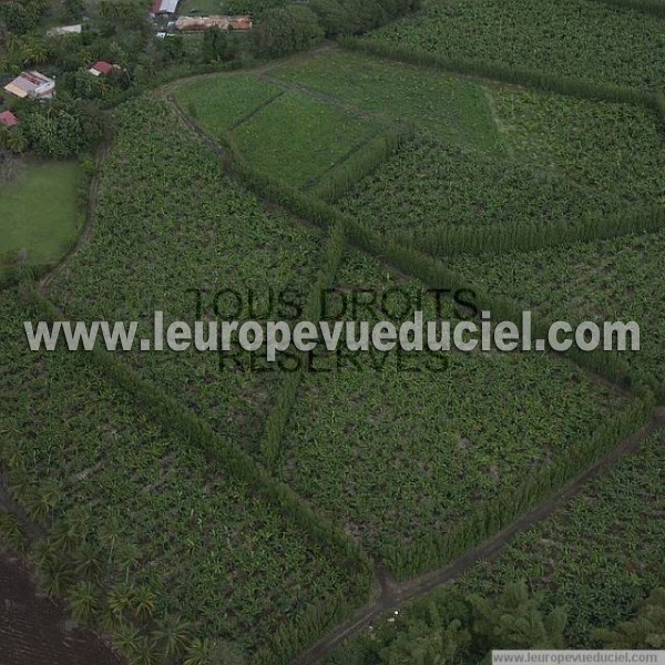 Photo aérienne de Le Lamentin