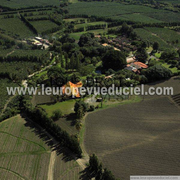 Photo aérienne de Basse-Pointe