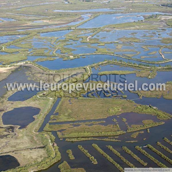 Photo aérienne de Le Teich