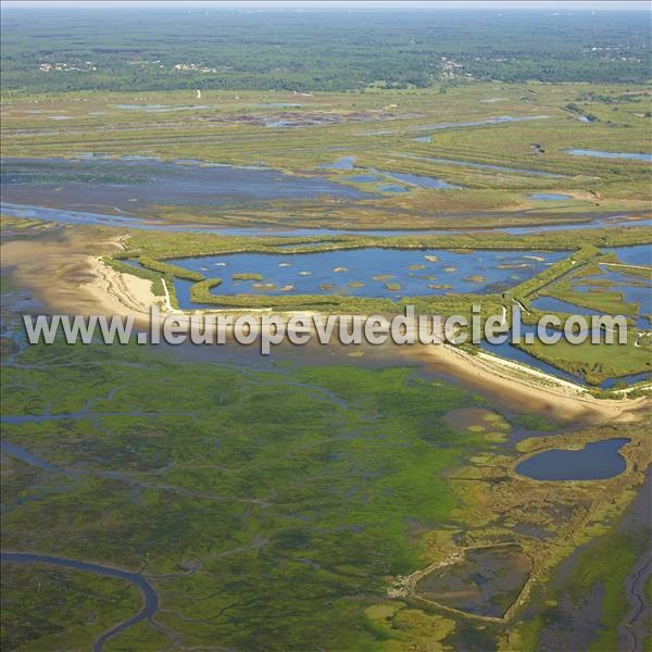 Photo aérienne de Le Teich