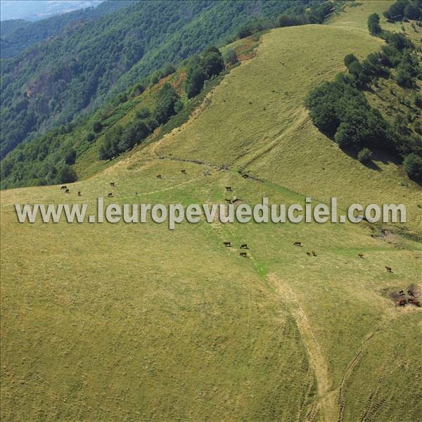 Photo aérienne de Indtermine (Cantal)