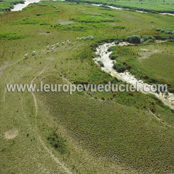 Photo aérienne de Indtermine (Seine-Maritime)