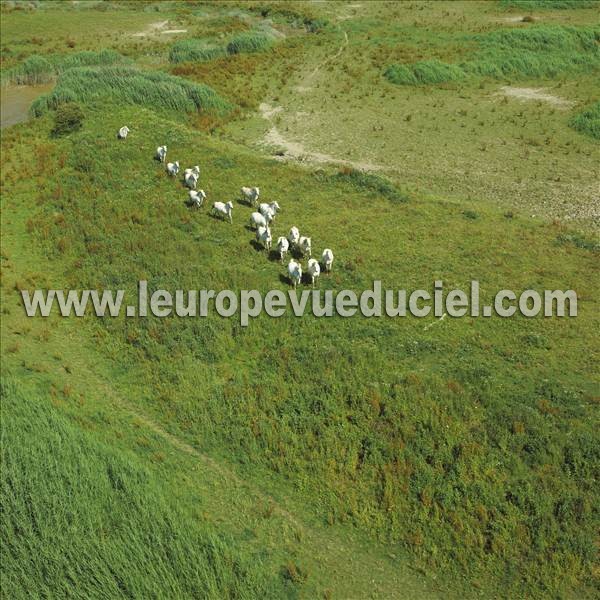 Photo aérienne de Indtermine (Seine-Maritime)