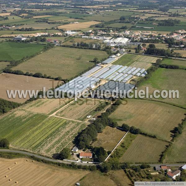 Photo aérienne de Saint-Christophe-du-Ligneron