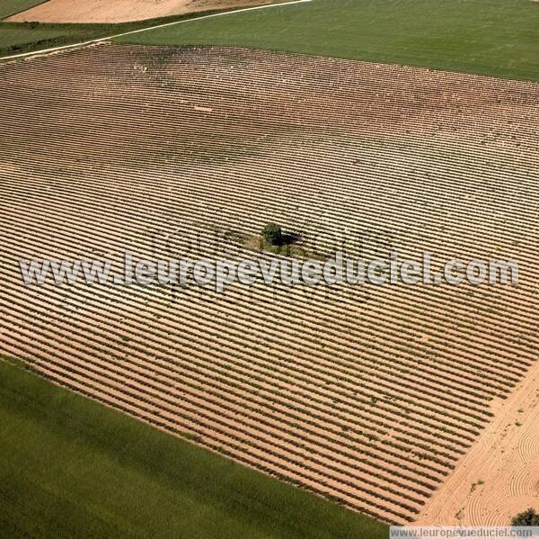 Photo aérienne de Valensole