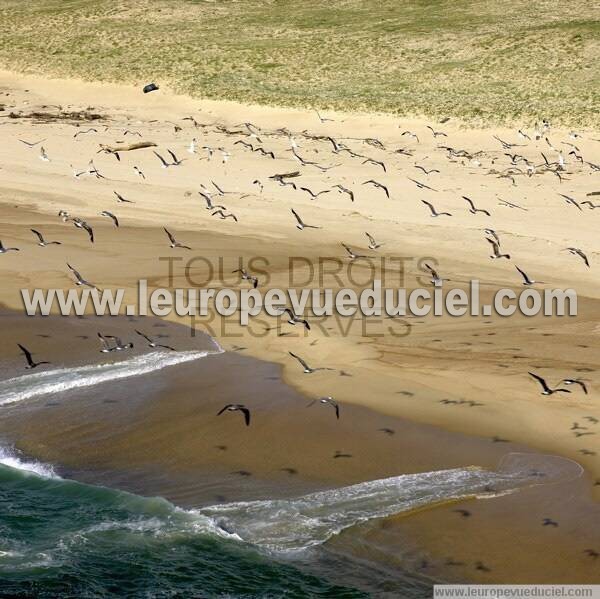 Photo aérienne de Indtermine (Landes)