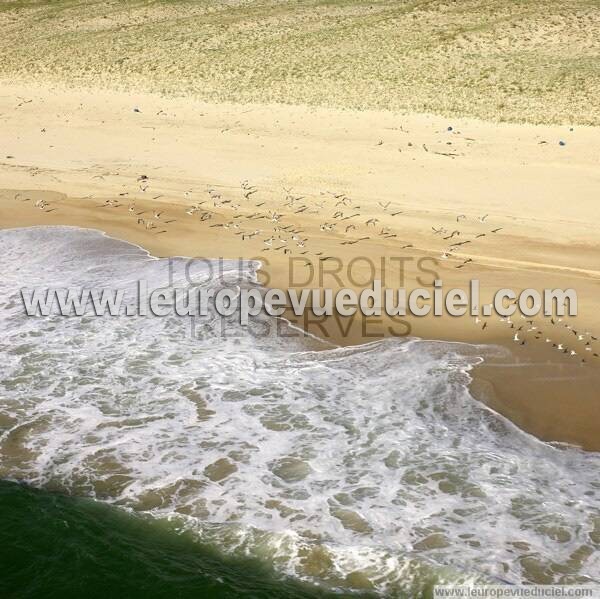 Photo aérienne de Indtermine (Landes)