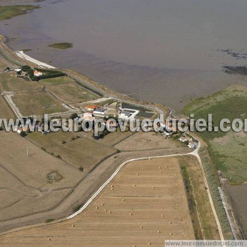 Photo aérienne de Bouin