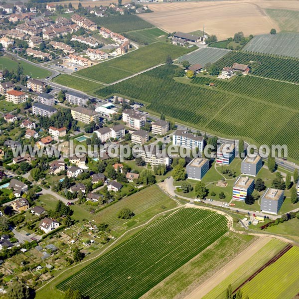 Photo aérienne de Prverenges