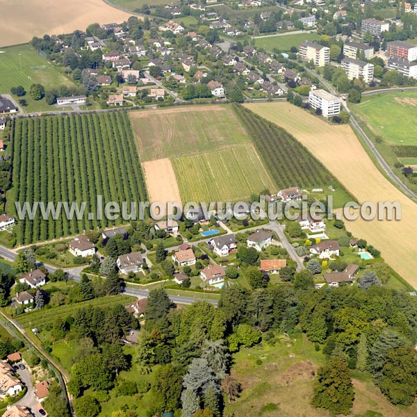 Photo aérienne de Tolochenaz