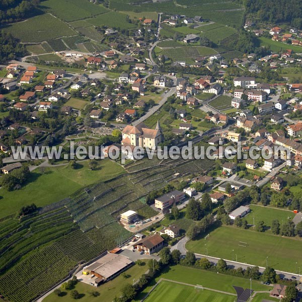 Photo aérienne de Vouvry