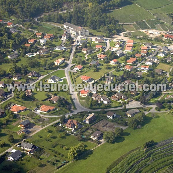 Photo aérienne de Vouvry