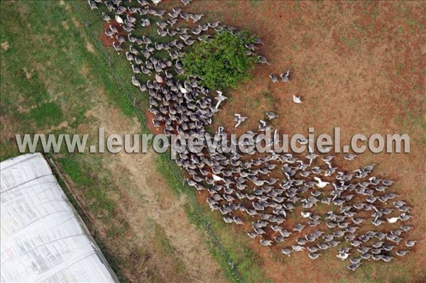 Photo aérienne de Indtermine (Dordogne)