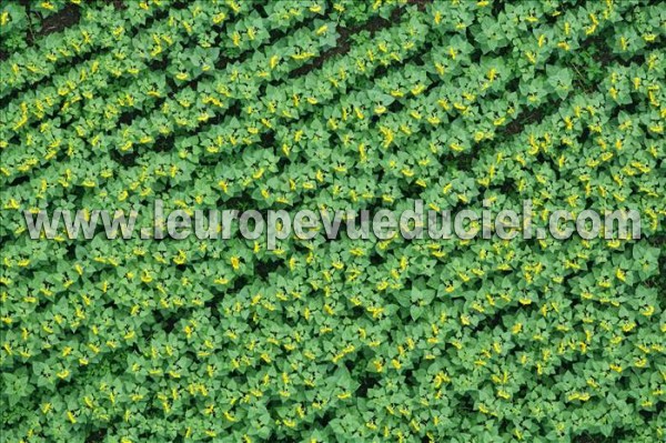 Photo aérienne de Indtermine (Dordogne)