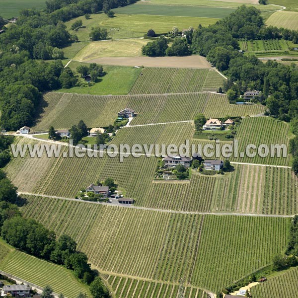 Photo aérienne de Begnins