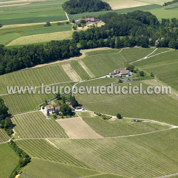 Photo aérienne de Begnins