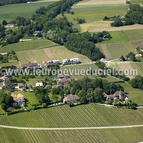 Photo aérienne de Begnins