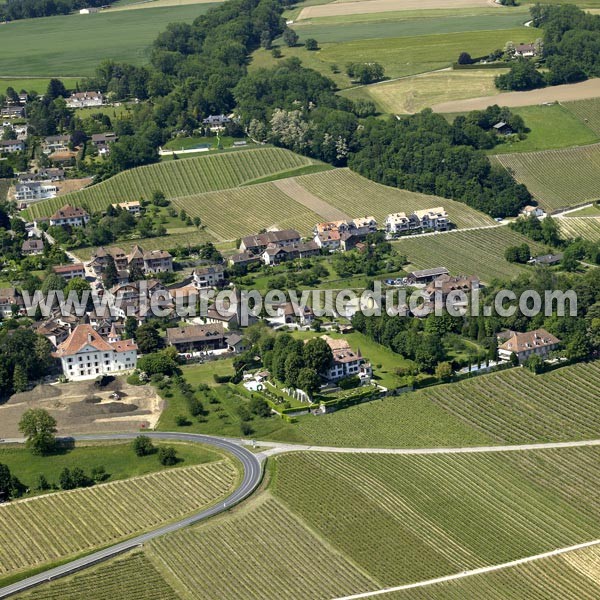 Photo aérienne de Begnins