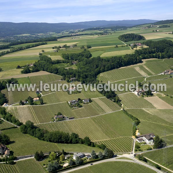 Photo aérienne de Begnins