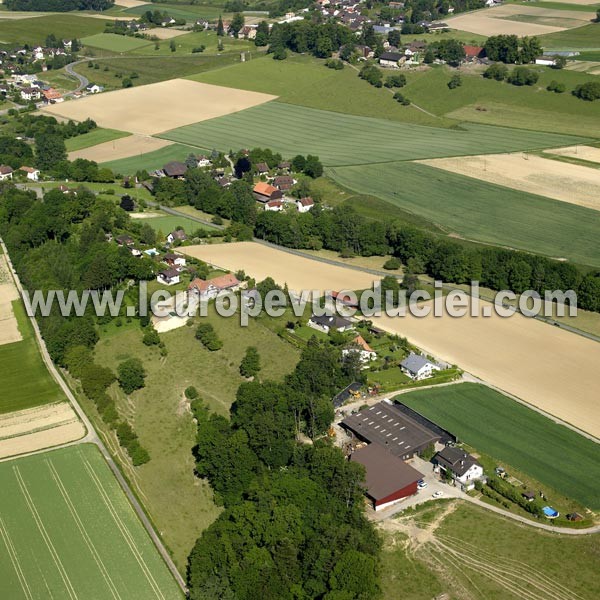 Photo aérienne de Cudrefin