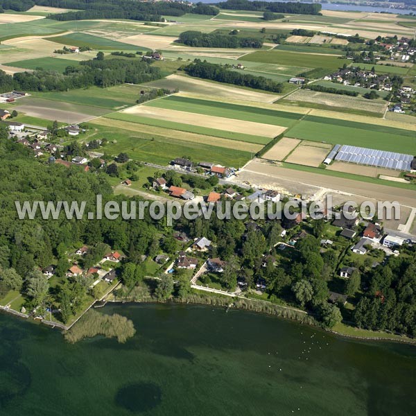 Photo aérienne de Cudrefin