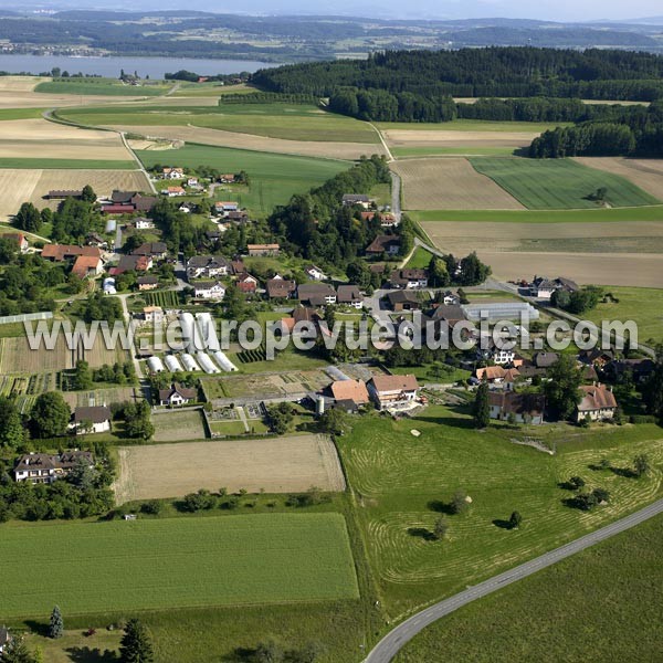 Photo aérienne de Cudrefin