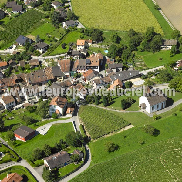 Photo aérienne de Montagny-prs-Yverdon
