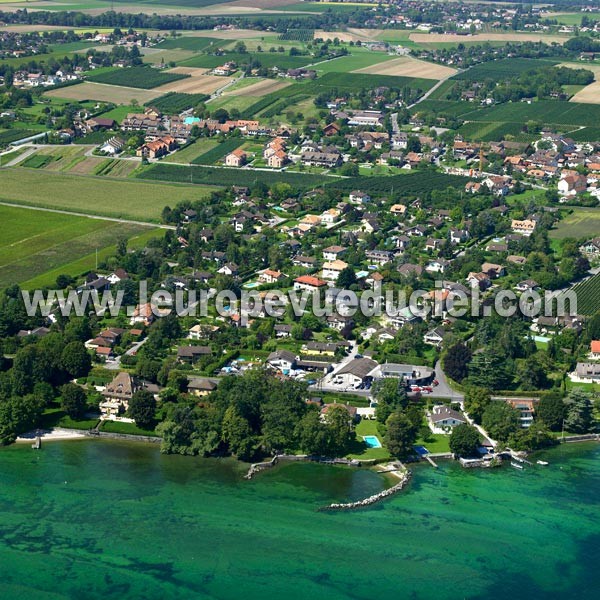 Photo aérienne de Founex