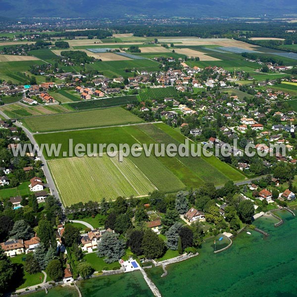 Photo aérienne de Founex