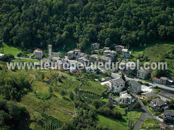 Photo aérienne de Albosaggia
