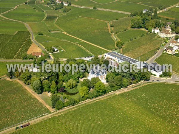 Photo aérienne de Aloxe-Corton