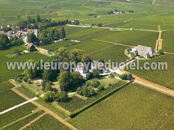 Photo aérienne de Aloxe-Corton