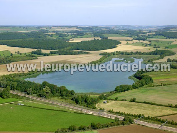 Photo aérienne de poisses