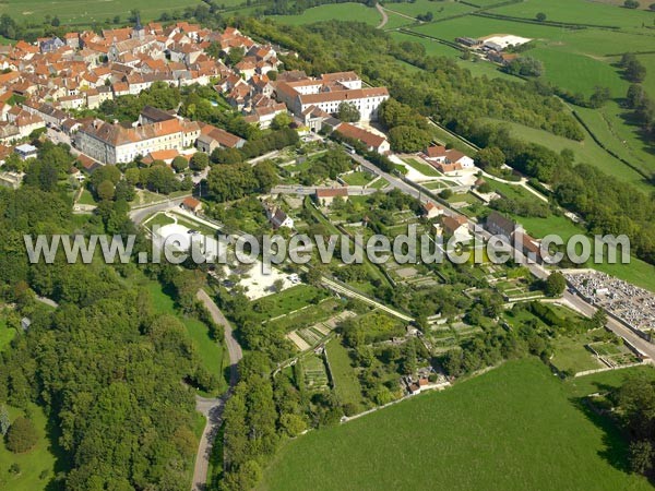 Photo aérienne de Flavigny-sur-Ozerain