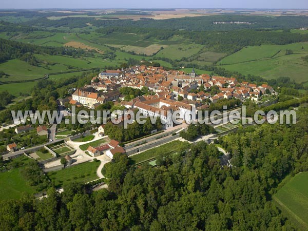 Photo aérienne de Flavigny-sur-Ozerain