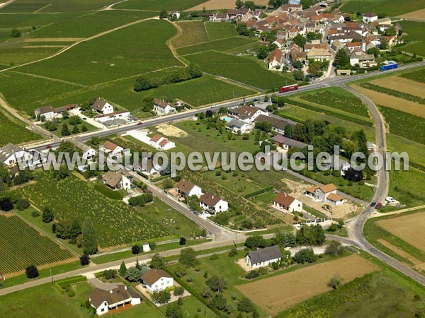 Photo aérienne de Ladoix-Serrigny