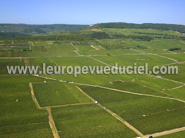 Photo aérienne de Puligny-Montrachet