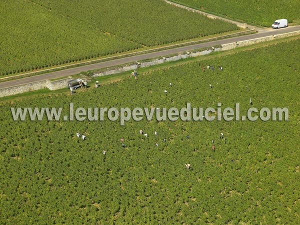 Photo aérienne de Puligny-Montrachet