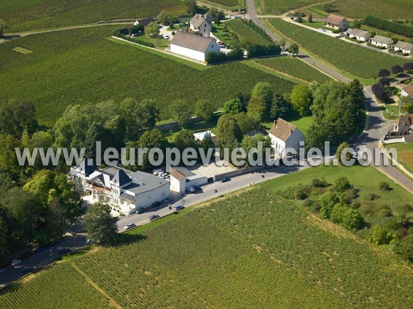 Photo aérienne de Santenay