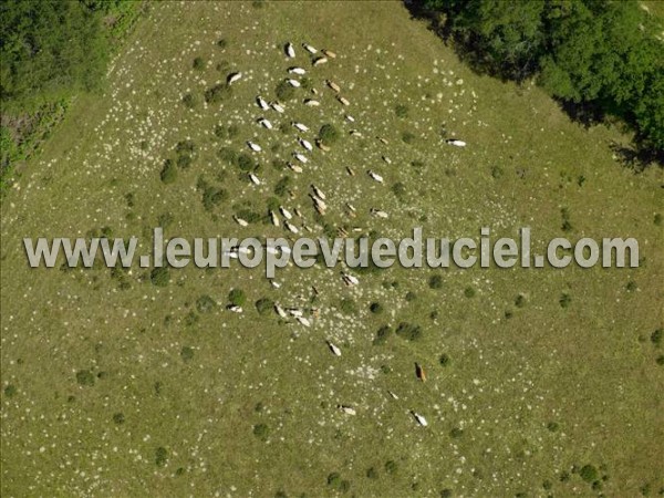 Photo aérienne de Indtermine (Sane-et-Loire)