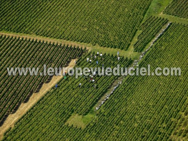 Photo aérienne de Beaune