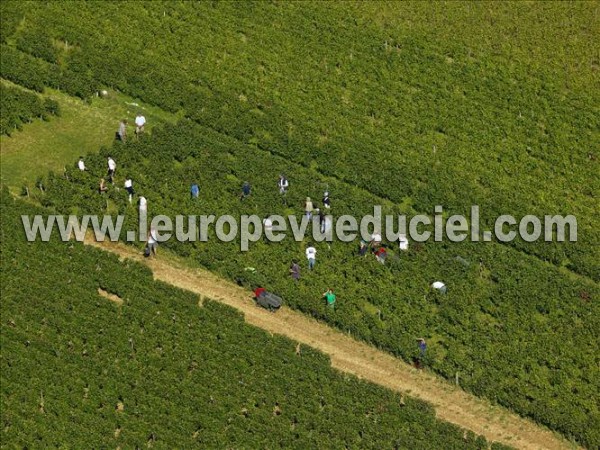 Photo aérienne de Beaune