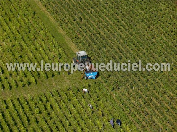 Photo aérienne de Beaune