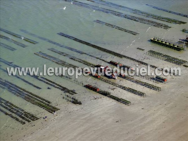 Photo aérienne de Bricqueville-sur-Mer