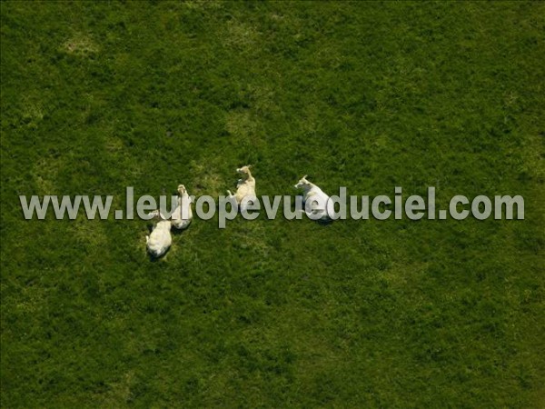 Photo aérienne de Indtermine (Meurthe-et-Moselle)